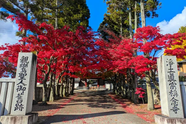 宮城県の画像